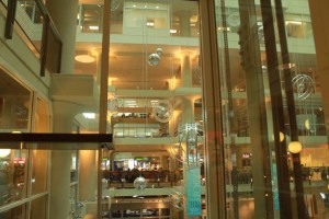 640 Picture archive QQT 2012 030