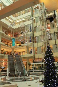 640 Picture archive QQT 2012 102